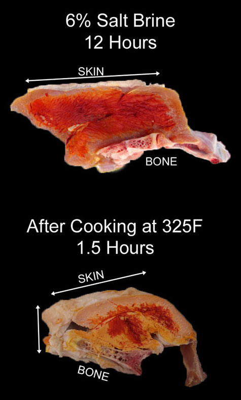 salt diffusion in turkey breast with skin